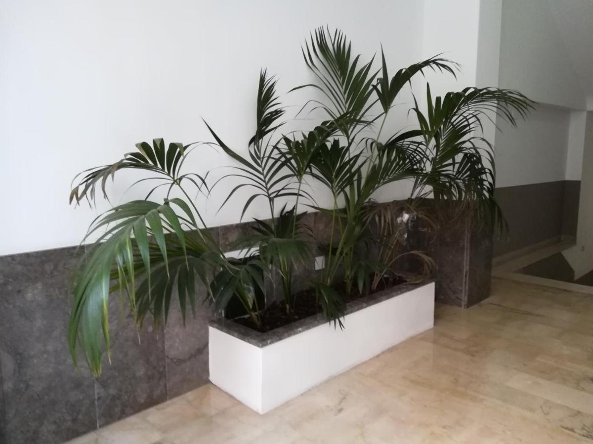 Centro Citta Basement Otel Palermo Dış mekan fotoğraf